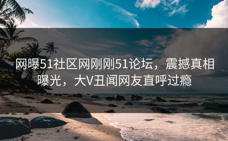 网曝51社区网刚刚51论坛，震撼真相曝光，大V丑闻网友直呼过瘾