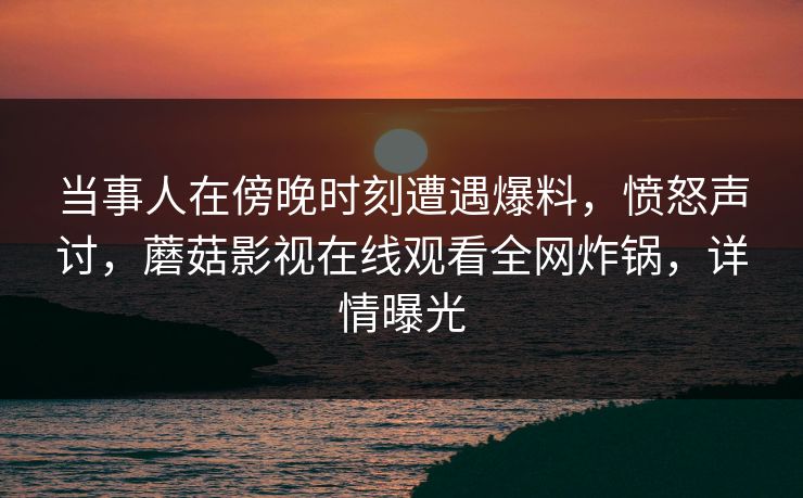 当事人在傍晚时刻遭遇爆料，愤怒声讨，蘑菇影视在线观看全网炸锅，详情曝光