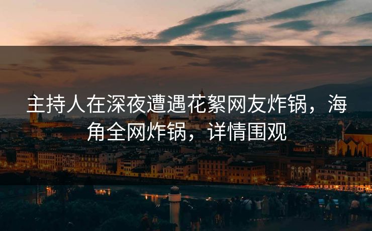 主持人在深夜遭遇花絮网友炸锅，海角全网炸锅，详情围观
