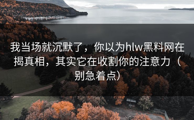 我当场就沉默了，你以为hlw黑料网在揭真相，其实它在收割你的注意力（别急着点）