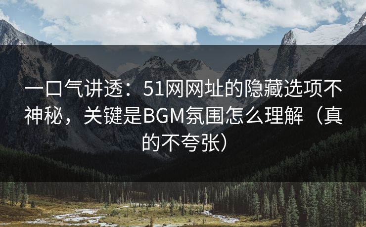 一口气讲透：51网网址的隐藏选项不神秘，关键是BGM氛围怎么理解（真的不夸张）